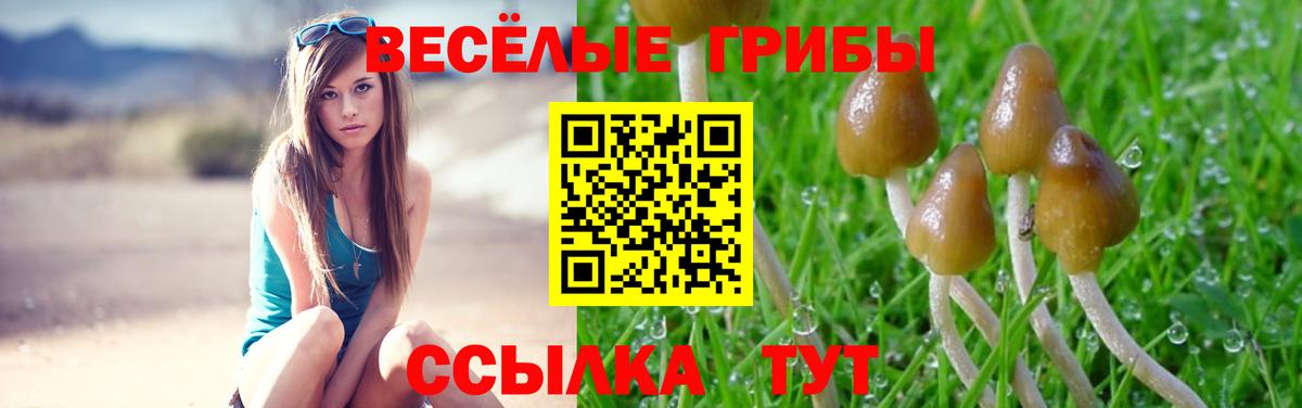 Псилоцибиновые грибы Cubensis Ишимбай